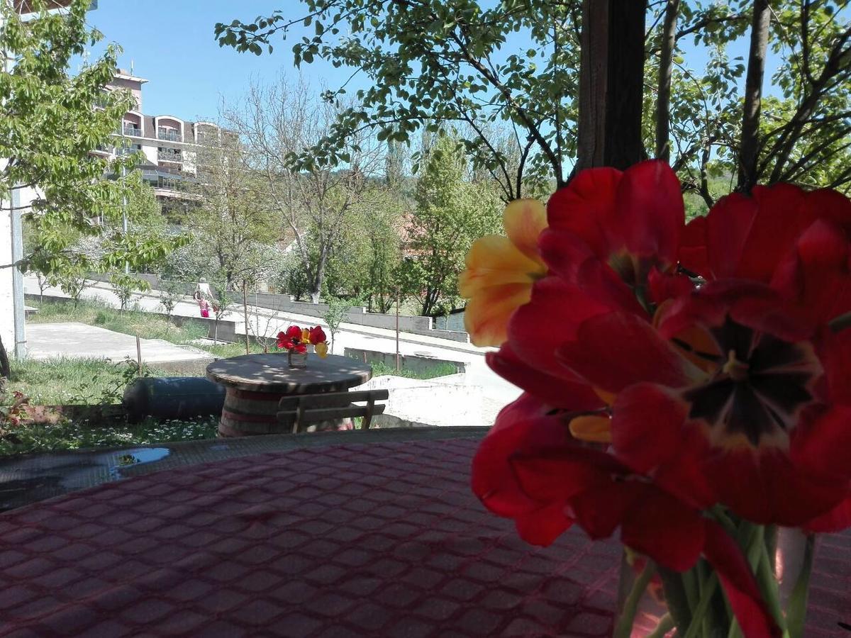Apartmani Jankovic ヴルドニーク エクステリア 写真