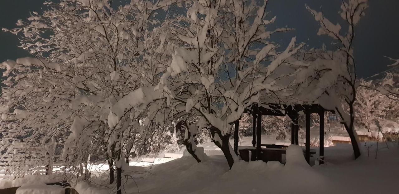 Apartmani Jankovic ヴルドニーク エクステリア 写真